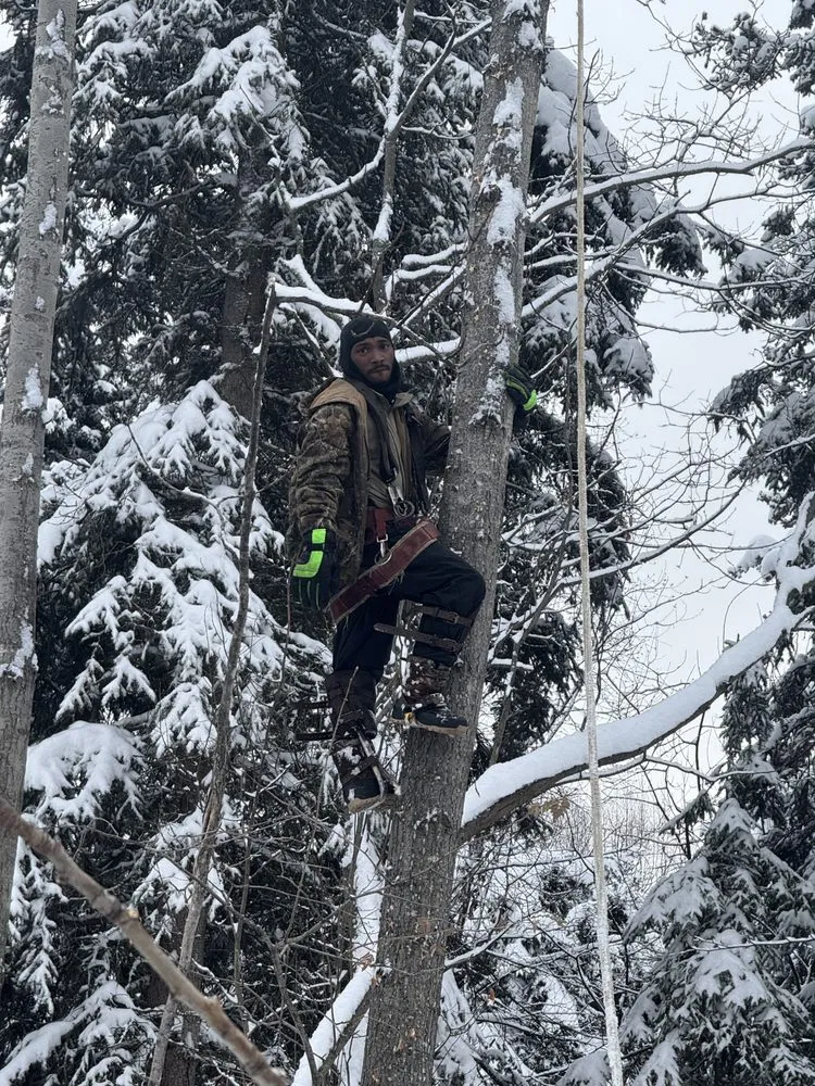 Trusted landscaping services for homes in Anchorage, AK by J&J Trees And More