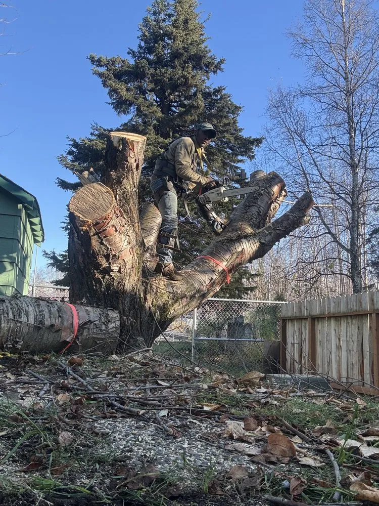 Local lawn mowing service for homes in Anchorage, AK by J&J Trees And More