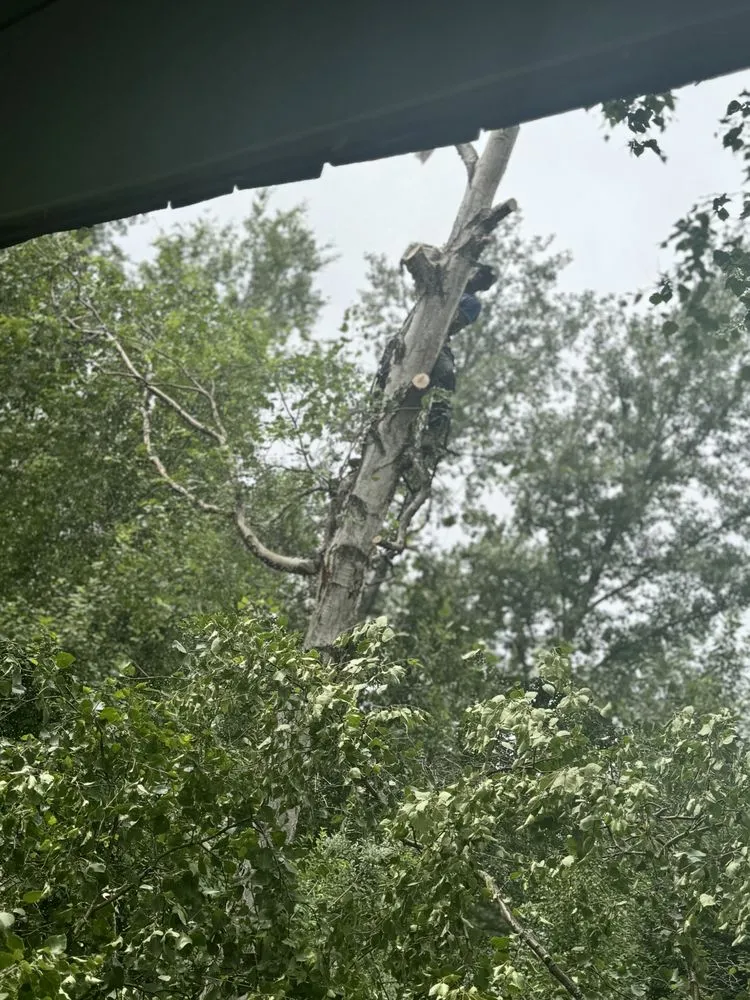 Trusted lawn mowing service experts serving Anchorage, AK - J&J Trees And More