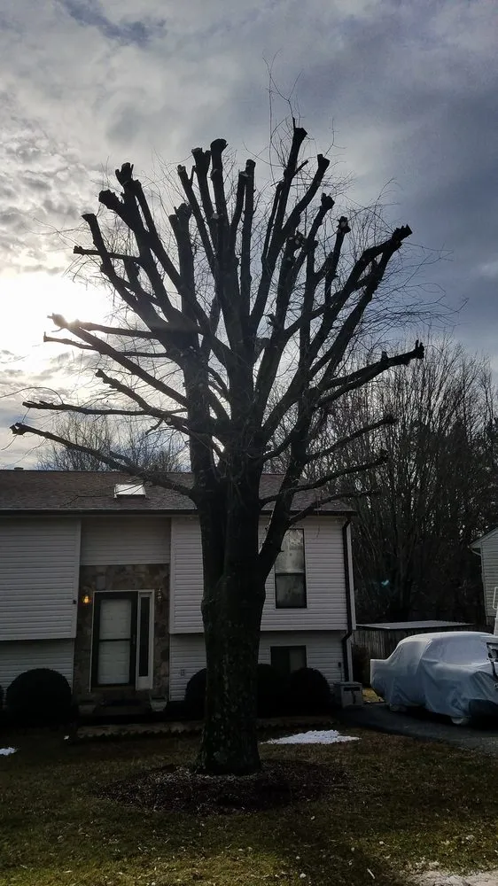 Affordable outdoor landscaping with custom design in Roanoke, VA by J&J Treewackers