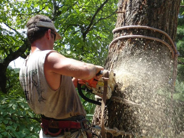 Affordable landscape design in Roanoke, VA - J&J Treewackers