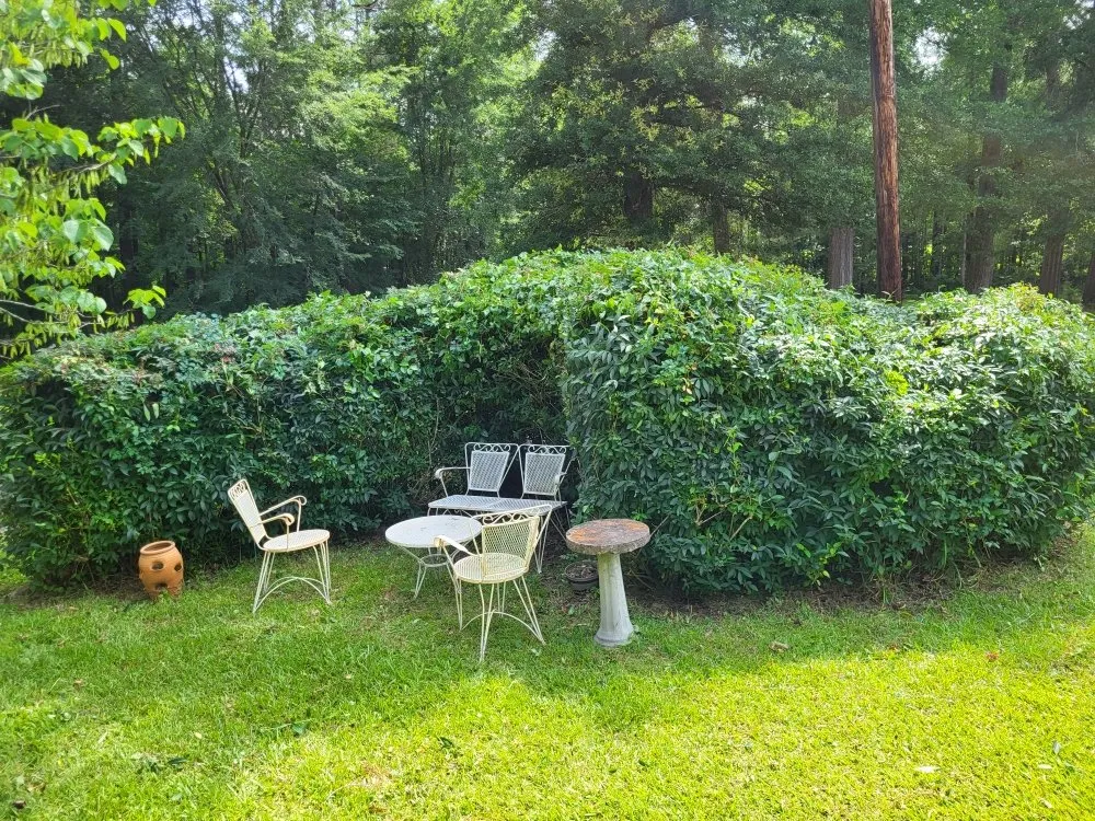 Affordable outdoor landscaping experts serving Kosciusko, MS - J&J Trim and Spray