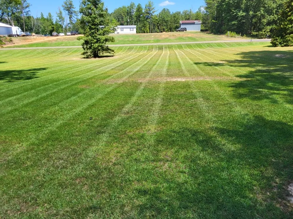 Top-rated residential landscaping for homes across Kosciusko, MS - J&J Trim and Spray