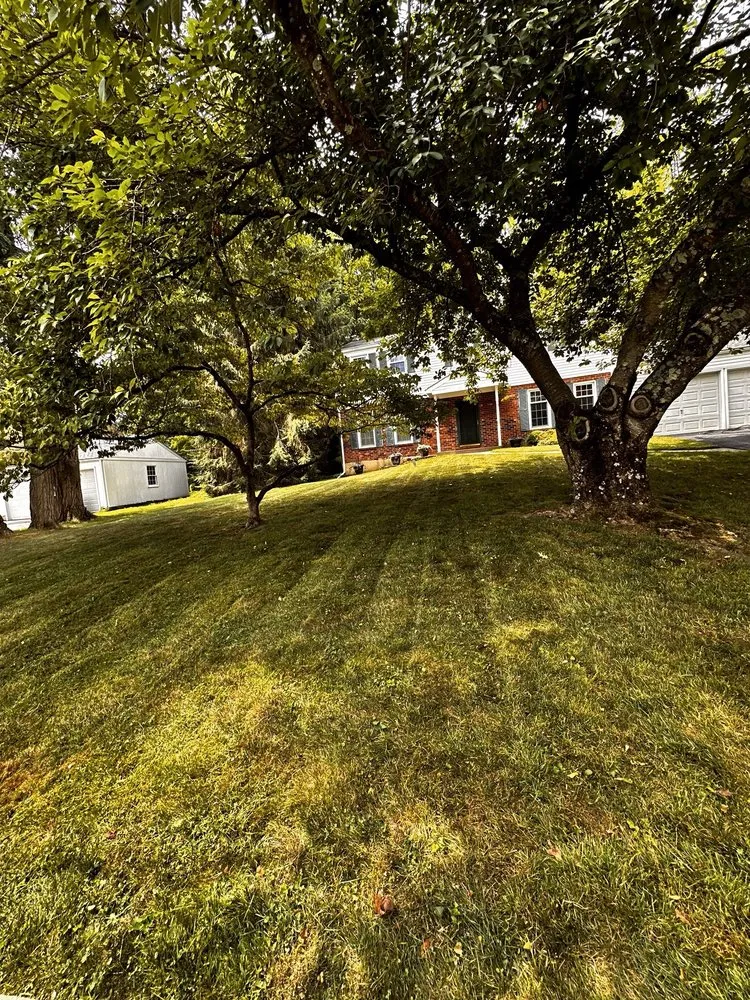 Trusted lawn mowing service experts serving West Chester, PA - JJ Trimmings