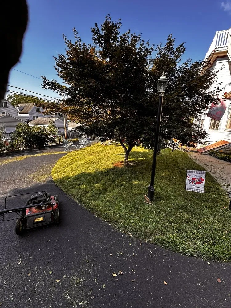 Top-rated residential landscaping in West Chester, PA by JJ Trimmings