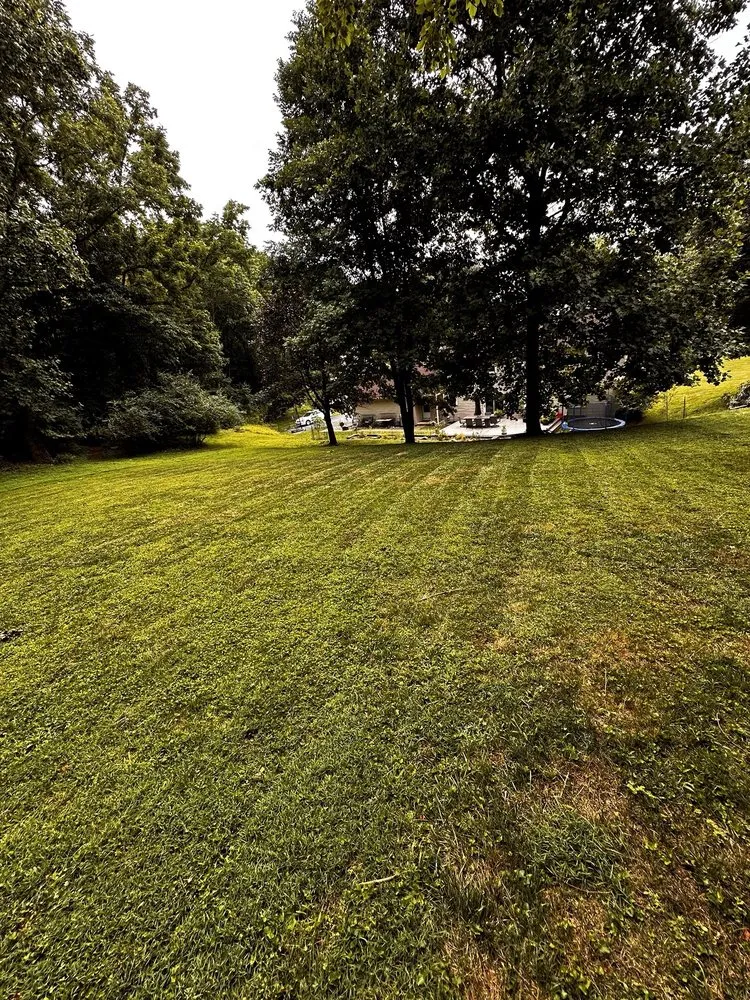 Professional landscape design for beautiful yards across West Chester, PA - JJ Trimmings