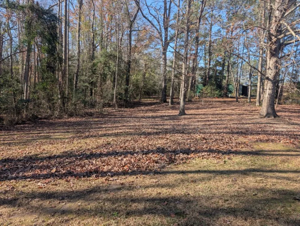 Affordable outdoor landscaping experts serving lugoff, SC - J&J Turf Maintenance