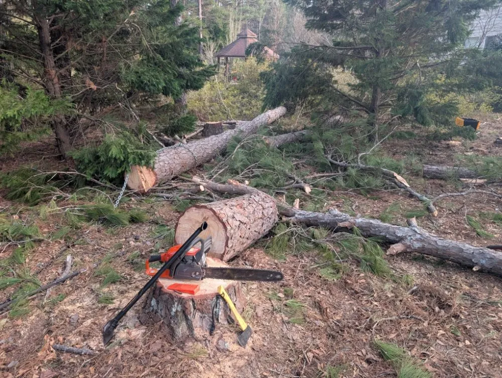 Local landscape design in lugoff, SC - J&J Turf Maintenance