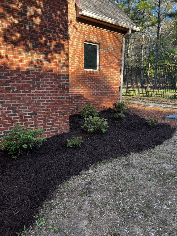 Top-rated yard cleanup service experts serving lugoff, SC - J&J Turf Maintenance