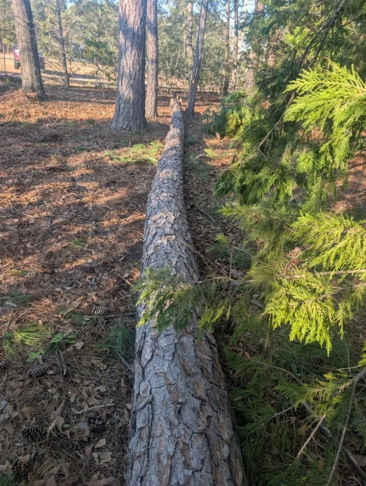 Reliable lawn mowing service for beautiful yards in lugoff, SC by J&J Turf Maintenance