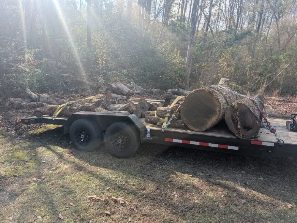 Professional yard cleanup service in lugoff, SC - J&J Turf Maintenance