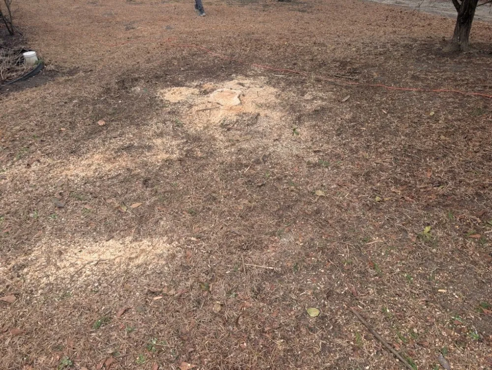 Custom lawn mowing service near you in lugoff, SC by J&J Turf Maintenance