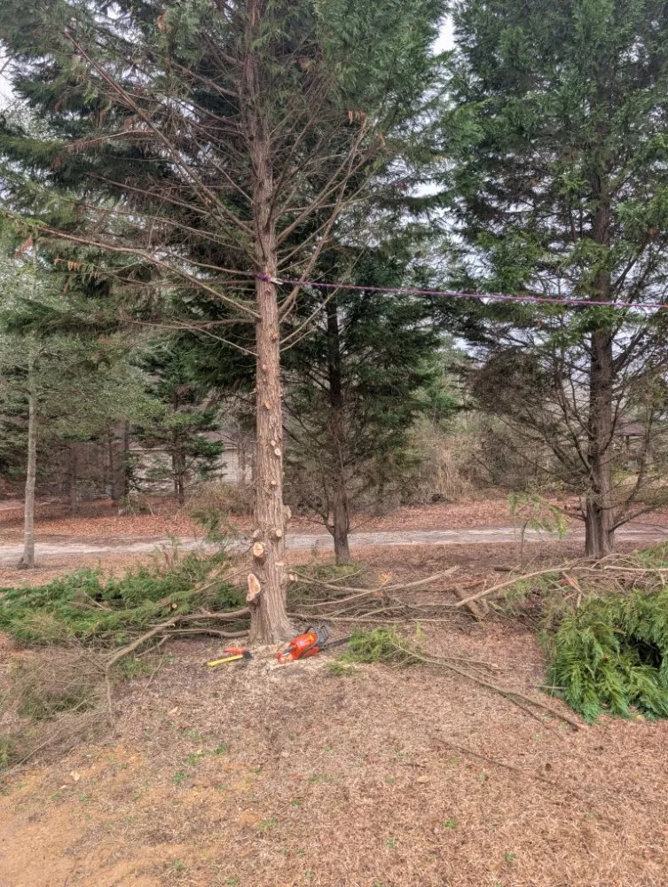 Custom outdoor landscaping in lugoff, SC by J&J Turf Maintenance