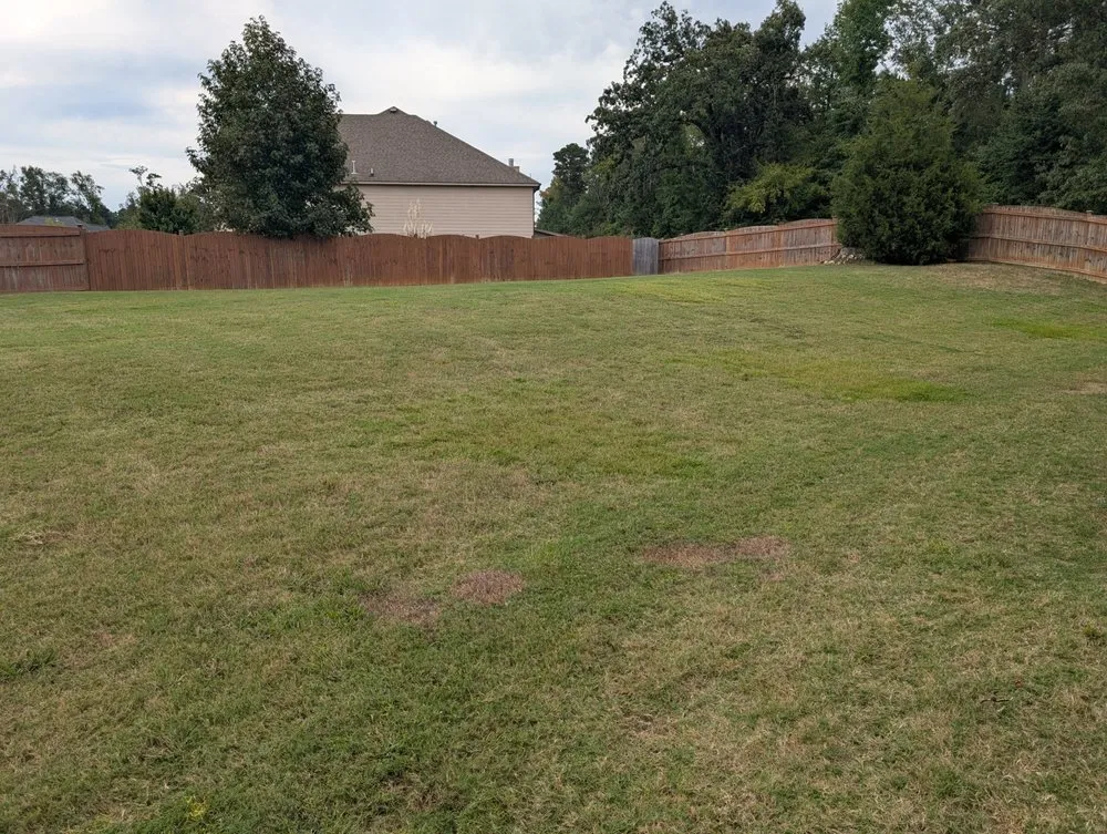 Trusted lawn mowing service experts serving lugoff, SC - J&J Turf Maintenance