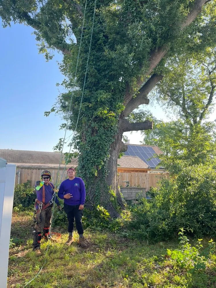 Expert yard cleanup service in Burlington, NJ by J&J twins tree service