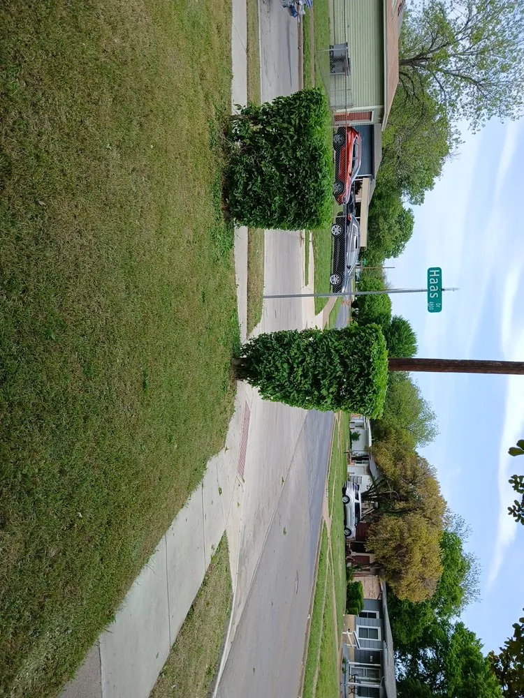 Local lawn care service experts serving Dallas, TX - Jj Yard Service