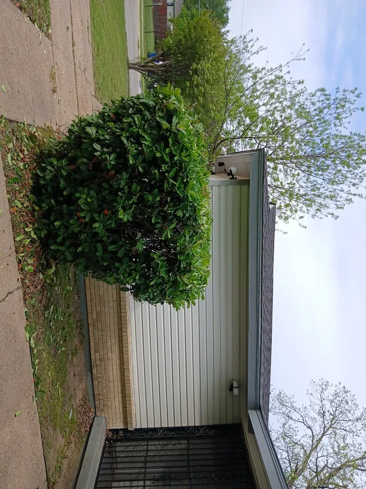 Top-rated garden landscaping in Dallas, TX by Jj Yard Service