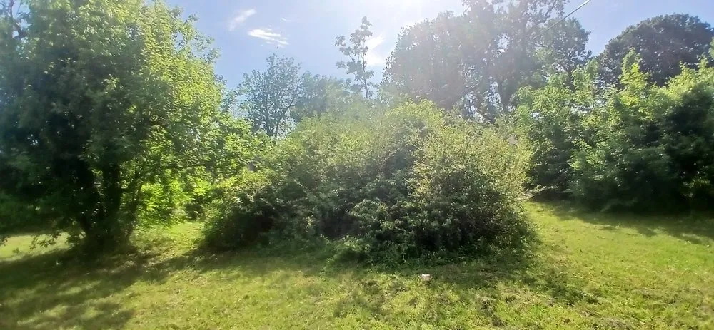 Custom lawn mowing service with custom design in Dallas, TX by Jj Yard Service