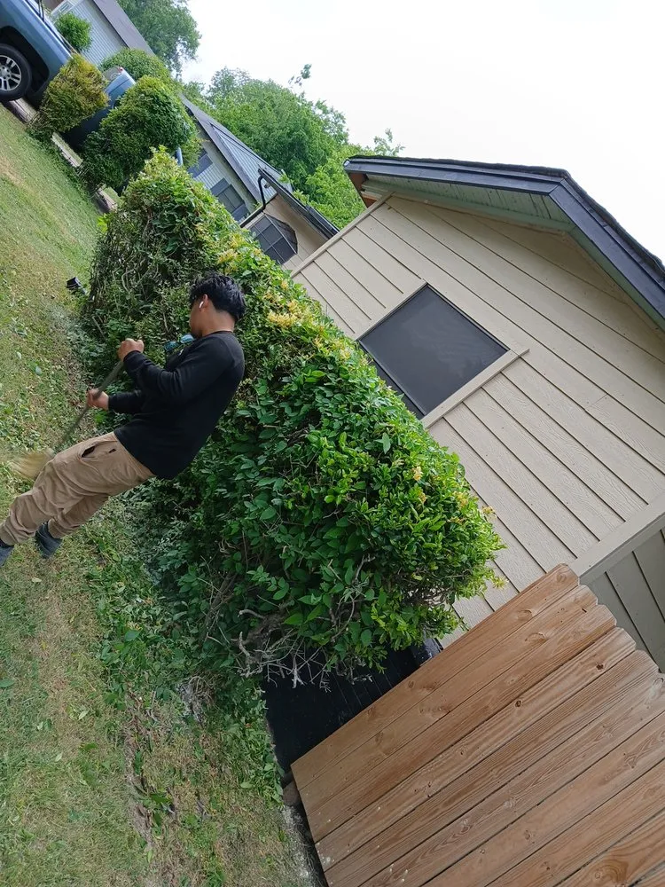 Custom lawn mowing service in Dallas, TX - Jj Yard Service