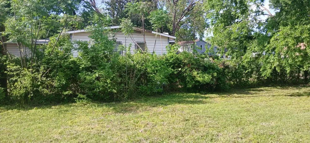 Professional residential landscaping in Dallas, TX - Jj Yard Service