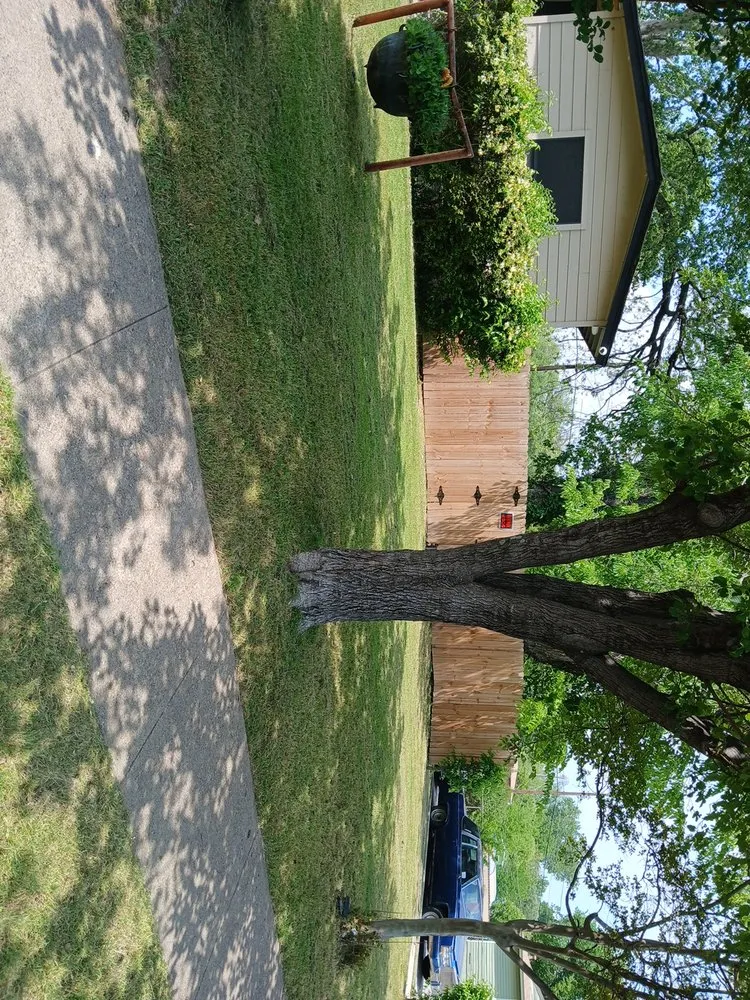 Trusted yard cleanup service in Dallas, TX by Jj Yard Service