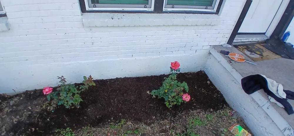 Trusted landscape installation for beautiful yards in Dallas, TX by Jj Yard Service