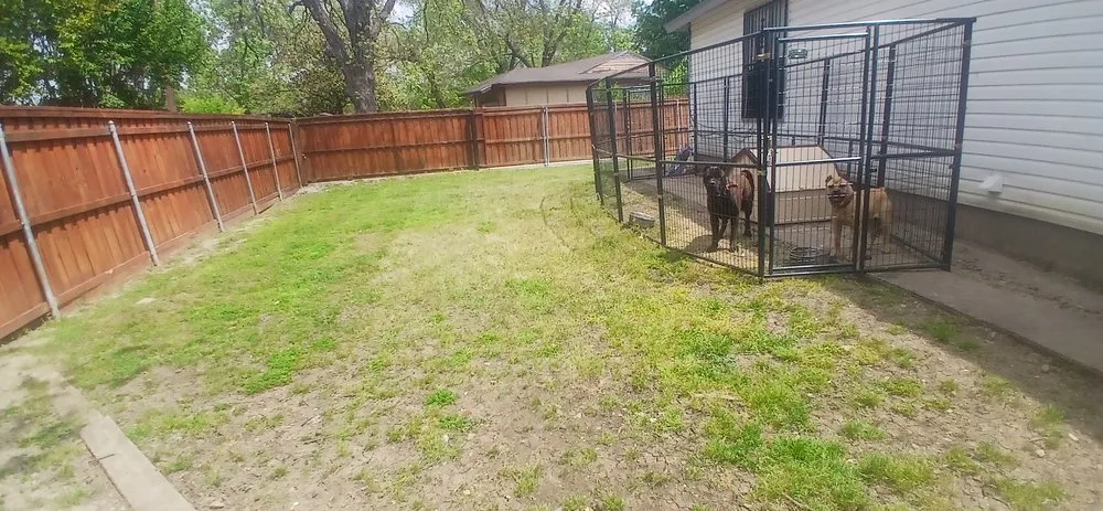 Custom yard maintenance experts serving Dallas, TX - Jj Yard Service