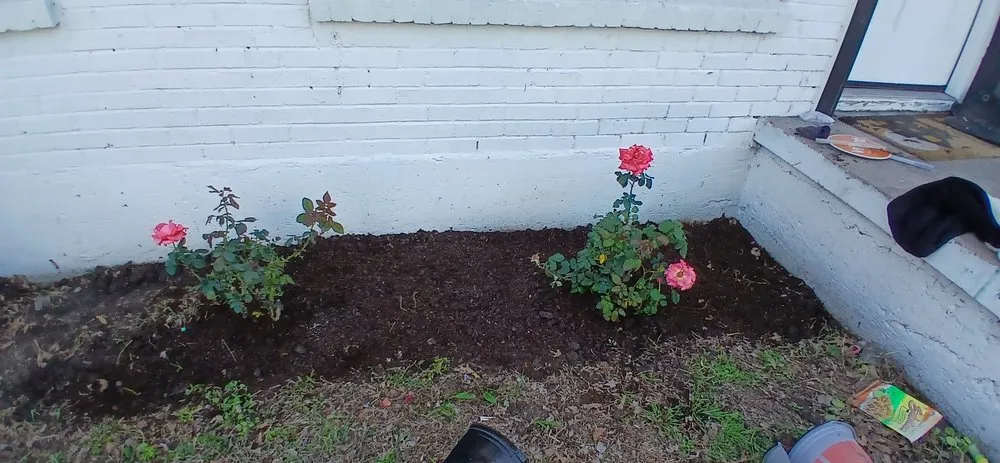 Reliable landscape design experts serving Dallas, TX - Jj Yard Service