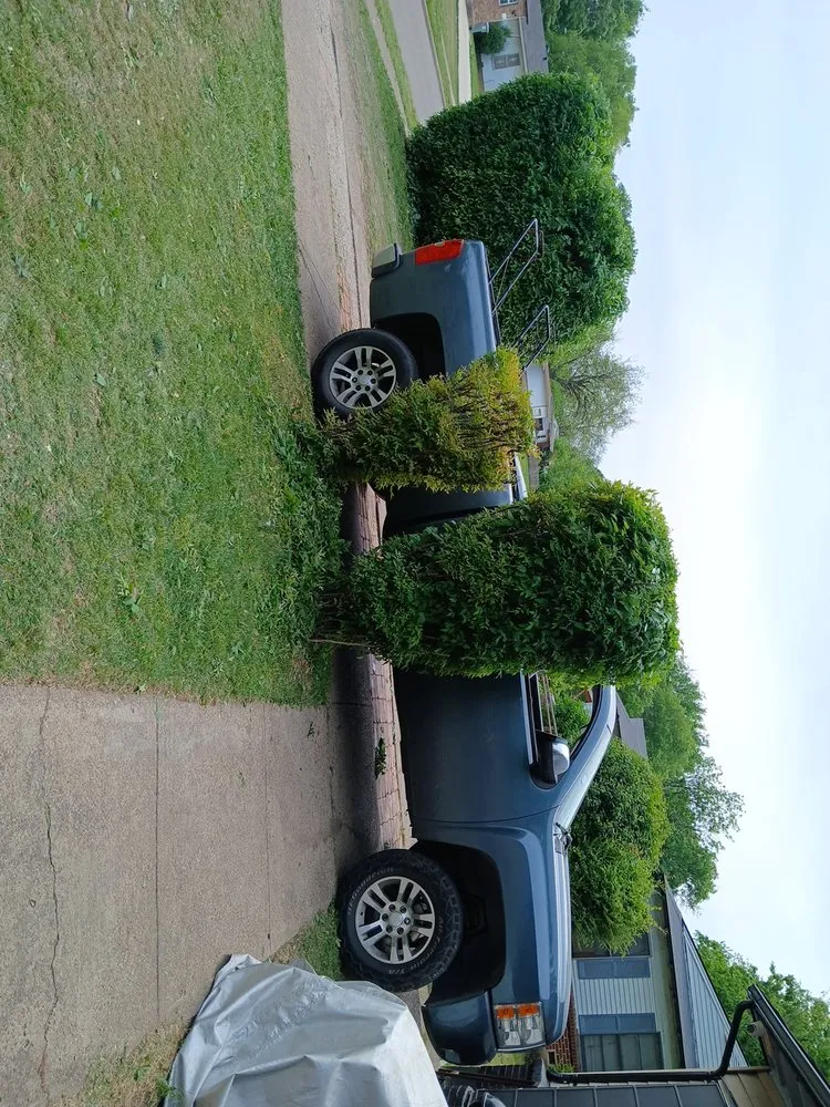 Trusted garden landscaping for beautiful yards across Dallas, TX - Jj Yard Service