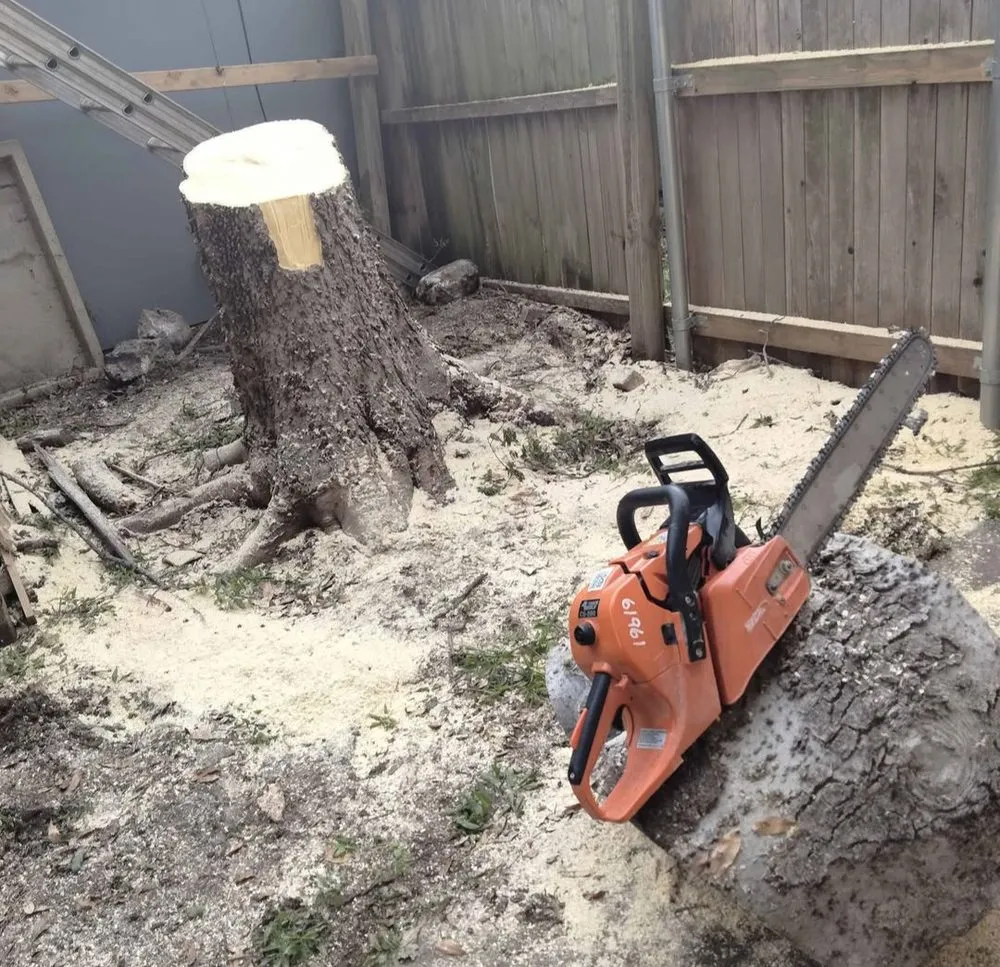 Top-rated outdoor landscaping in Dallas, TX by Jj Yard Service