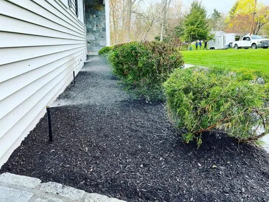 JJBM Landscaping & Tree Removal
