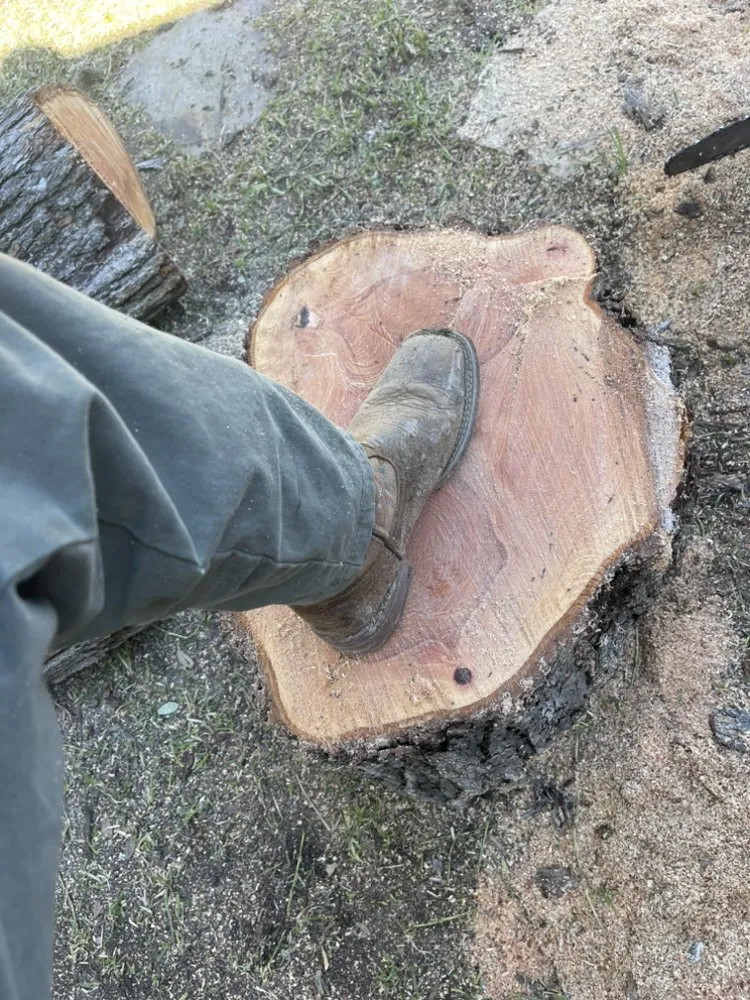 Custom yard maintenance in San Marcos, TX - JJC Landscaping