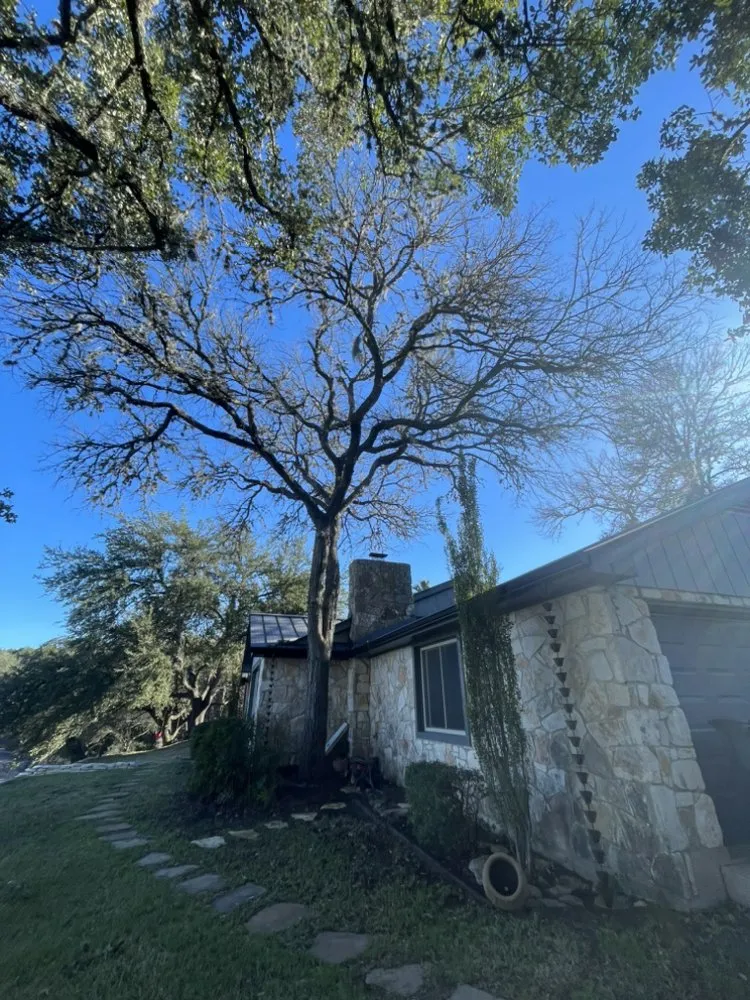 Reliable yard cleanup service near you across San Marcos, TX - JJC Landscaping