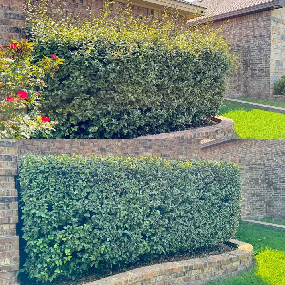 Top-rated landscaping services in Midland, TX - JJC Lawn Care