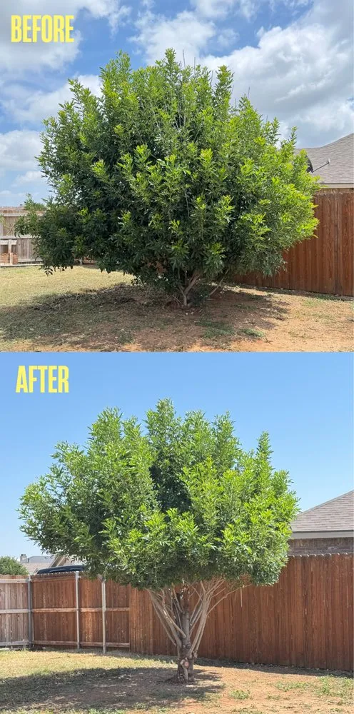 Professional residential landscaping in Midland, TX by JJC Lawn Care