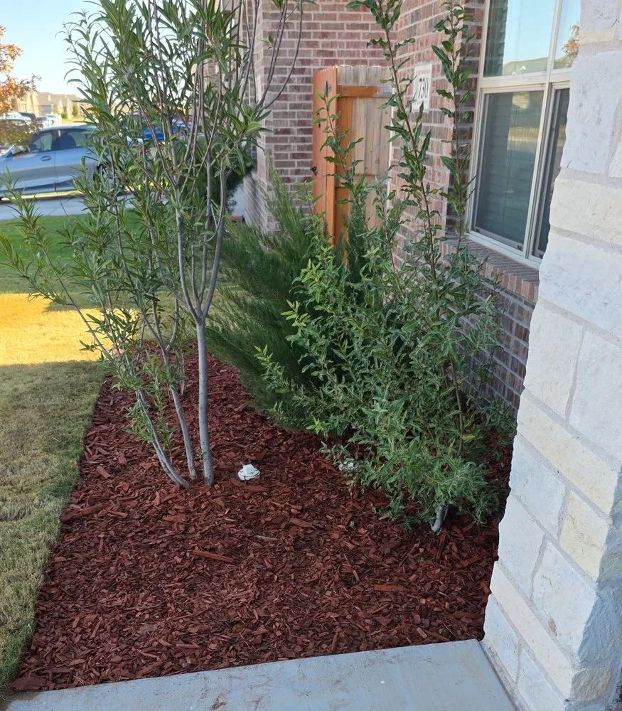 Trusted yard cleanup service for residential properties across Midland, TX - JJC Lawn Care