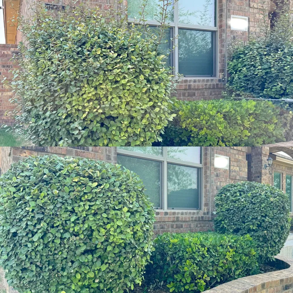 Affordable yard cleanup service in Midland, TX by JJC Lawn Care