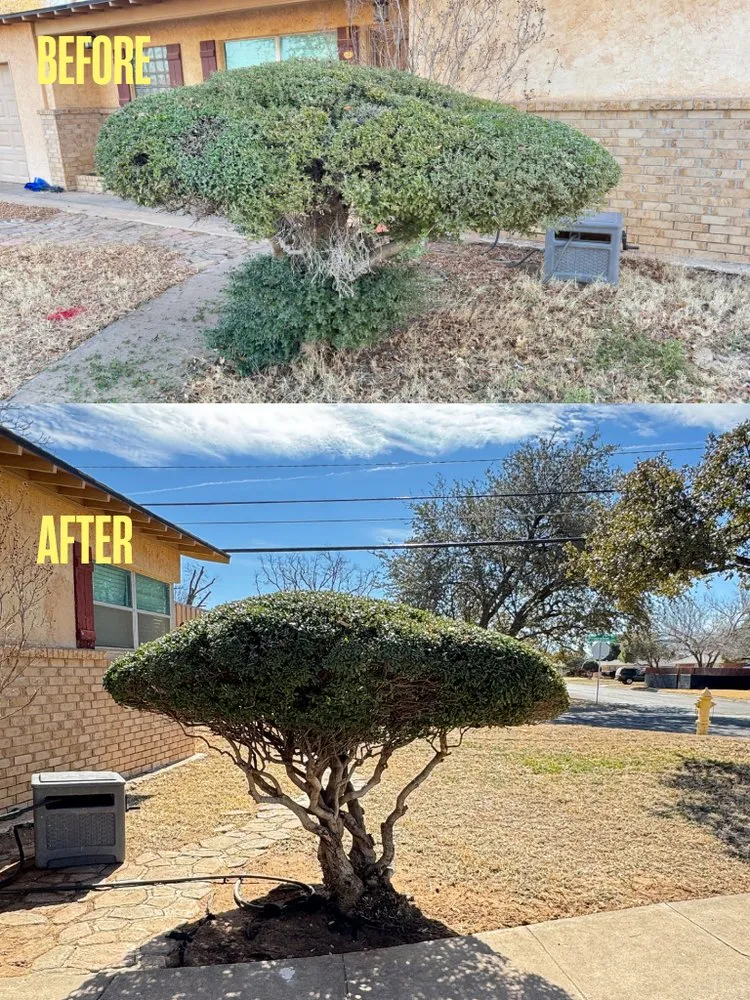Reliable landscape installation experts serving Midland, TX - JJC Lawn Care