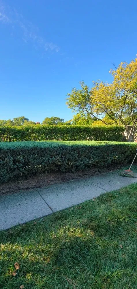 Affordable landscaping services for homes in Shelbyville, KY by JJD Lawn Care and Landscaping