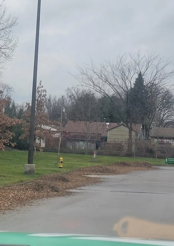 Local residential landscaping near you in Shelbyville, KY by JJD Lawn Care and Landscaping