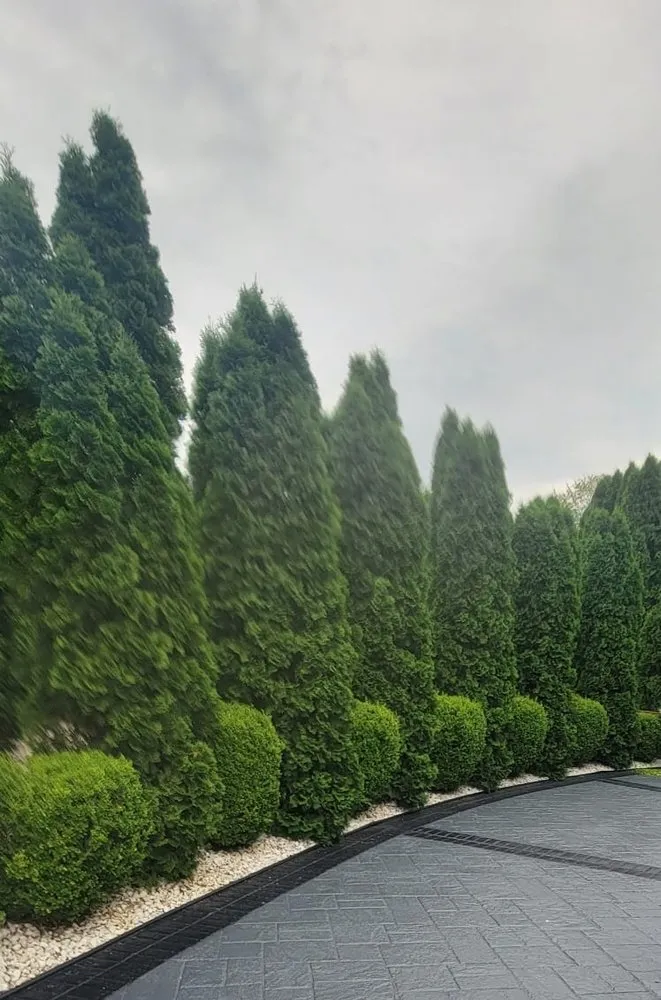 Local yard cleanup service for year-round maintenance in Shelbyville, KY by JJD Lawn Care and Landscaping