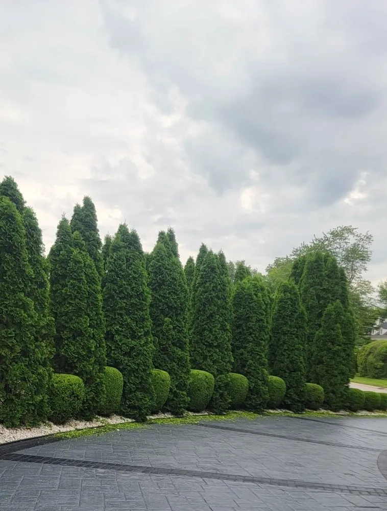 Reliable lawn care service in Shelbyville, KY by JJD Lawn Care and Landscaping