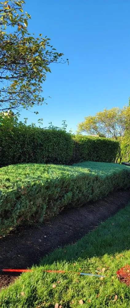 Local landscaping services for year-round maintenance in Shelbyville, KY by JJD Lawn Care and Landscaping