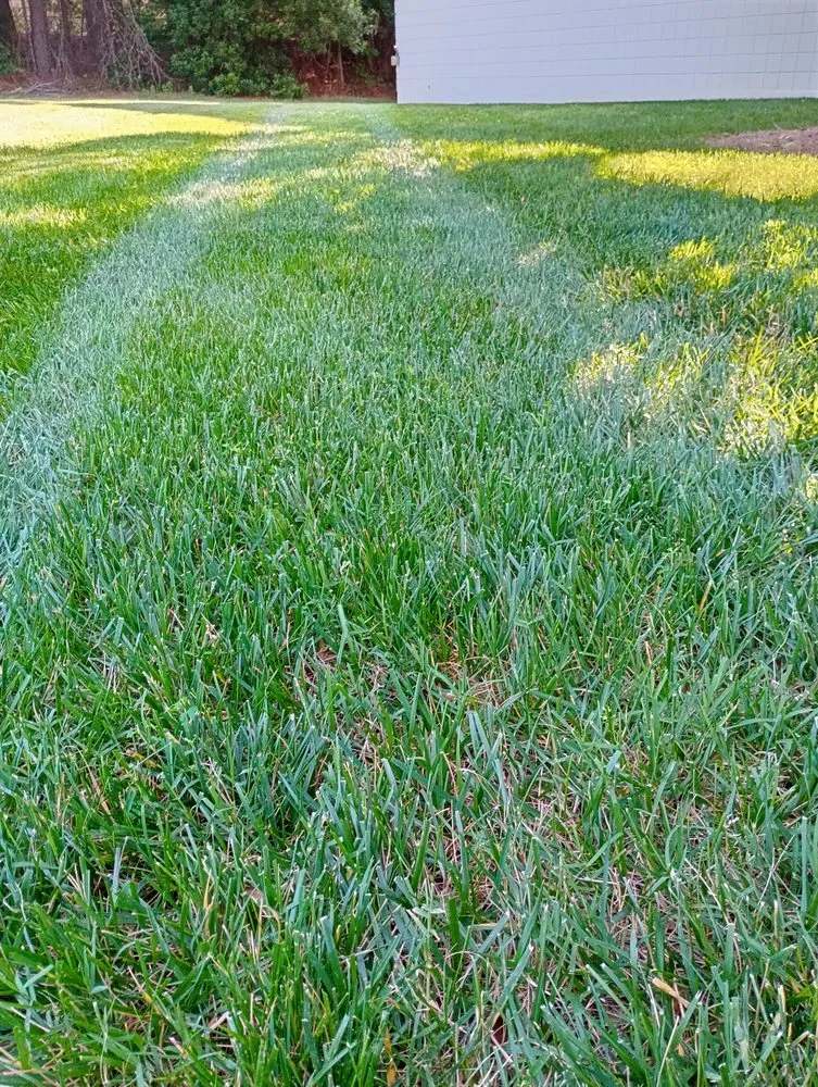 Reliable yard maintenance experts serving Greensboro, NC - JJ&G Green View Landscaping & House Repair