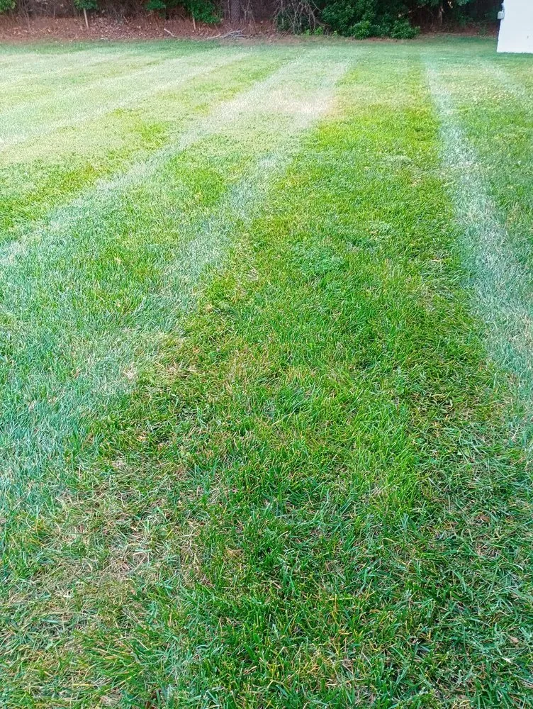 Professional lawn care service in Greensboro, NC by JJ&G Green View Landscaping & House Repair