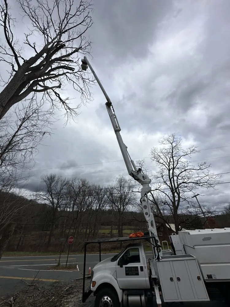 Local landscaping services in Selkirk, NY by JJH Property Maintenance