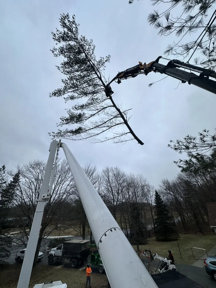 Local outdoor landscaping in Selkirk, NY by JJH Property Maintenance