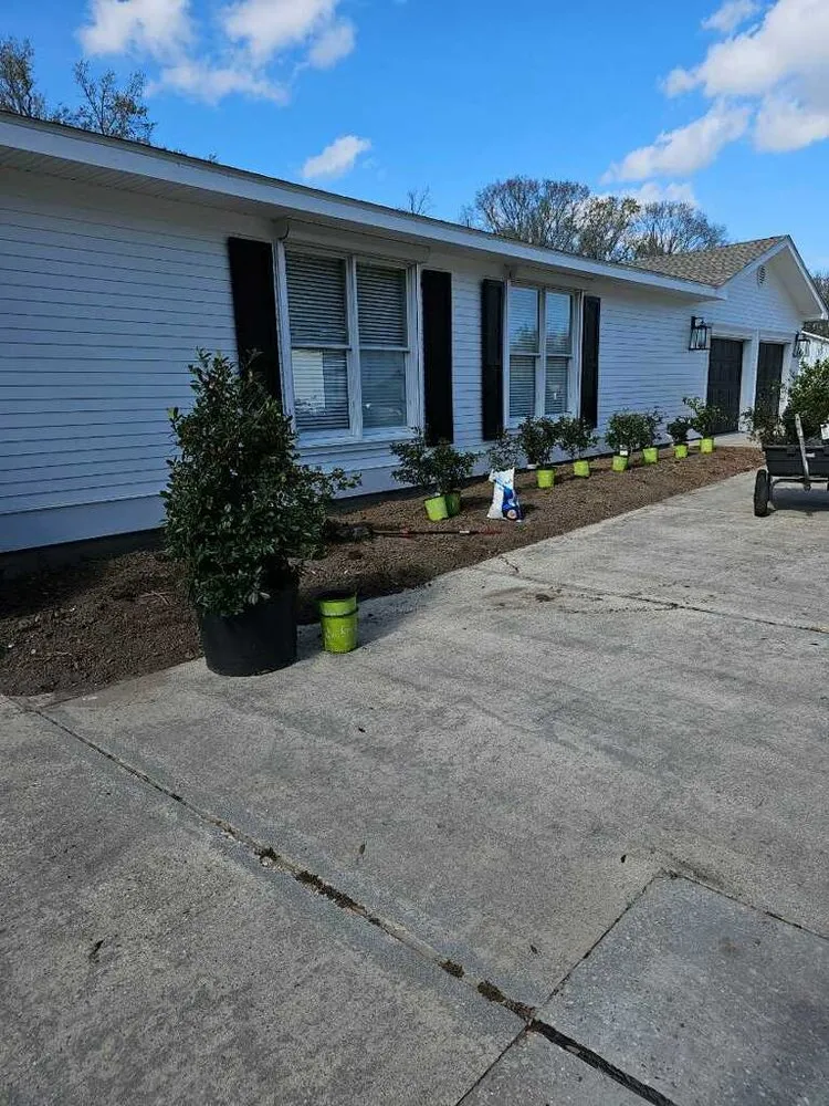 Top-rated yard maintenance in Houma, LA - JJJ Greenscape