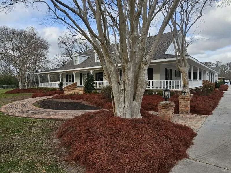 Top-rated lawn mowing service in Houma, LA by JJJ Greenscape