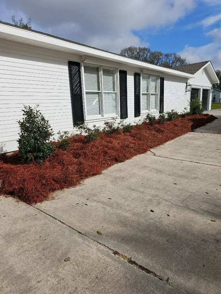 Local lawn care service for residential properties across Houma, LA - JJJ Greenscape